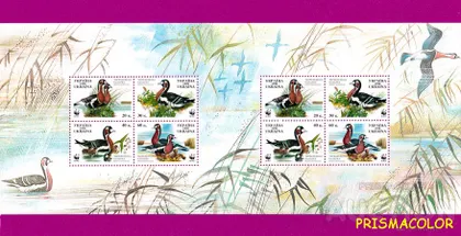 фото, ** УКРАИНА 1998 N222А-225А малый лист Красная книга Казарка (2 квартблока) ! !