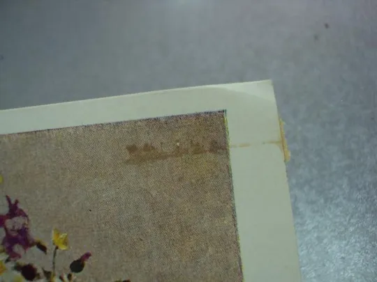 открытка соколов цветы 1963 №12416 З аукціону