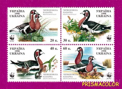 фото, ** УКРАИНА 1998 N222-225 сцепка Красная книга Казарка Фауна