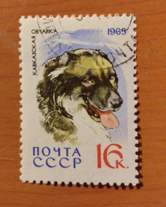 1965 СССР Кавказская овчарка Ціна