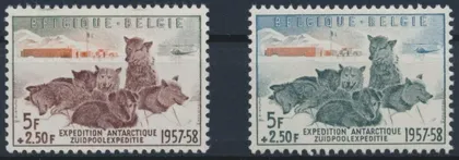 фото, Бельгия Антарктика Фауна Собаки 1957