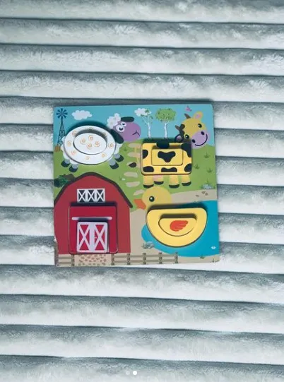 Сортер "Ферма" Ціна