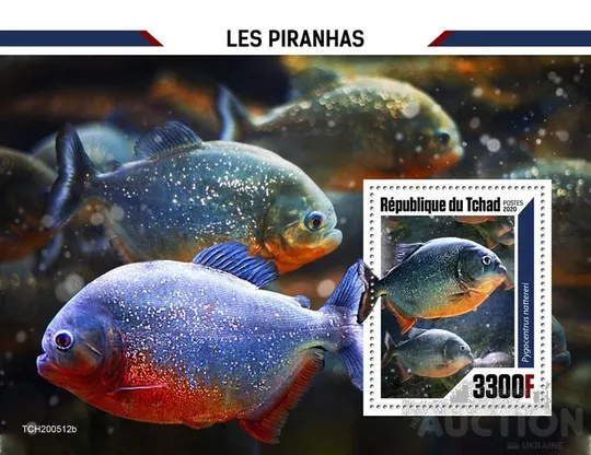 Чад-Рыбы-Пираньи-2020.Чистый полный красивый комплект. MNH. Ціна