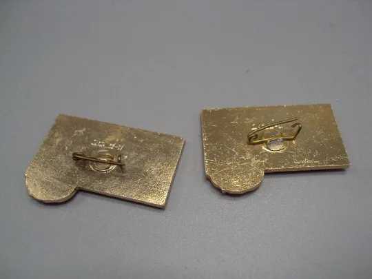 Знак орденоносный Горный Алтай город-герой орден ленина горы герб серп и молот ссср лот 2 шт №17472 Продаж