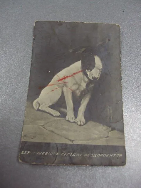 открытка сегодня не здоровится, винница 1911 №1390 Ціна