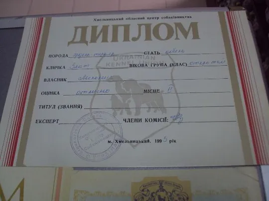 диплом  кинологический союз украины лот 5 шт №4267 Інтернет-аукціон