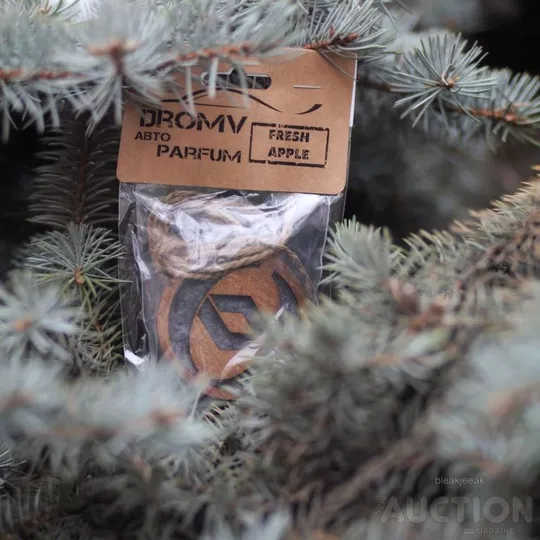 Автомобільний освіжувач повітря з парфумованою олією з логотипом Renaut Де купити