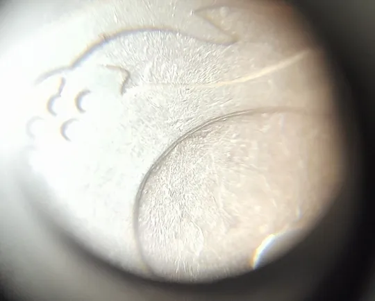 (4082) 25 копійок 1992 2БАм розколи + зминання на аверсі та реверсі (25 копеек 1992 2БАм брак) Продаж