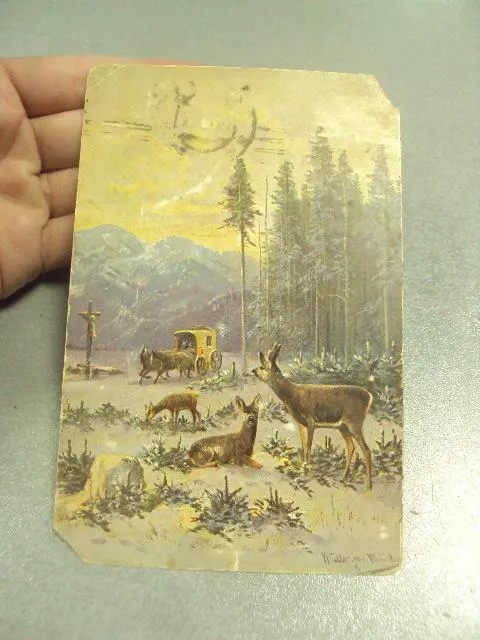 Купити открытка олени киев тростянец 1914 №12198м