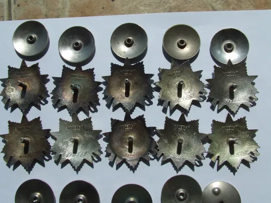 Орден Трудовой славы на заклёпках № 32 422 награждения 1978 года.  и много другого . Інструкція