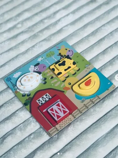 Купити Сортер "Ферма"