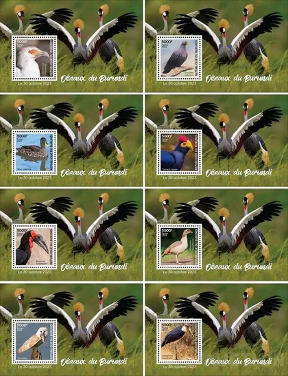 фото, Бурунди - Птицы -2023. Чистый полный красивый комплект. MNH.