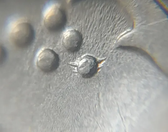 (4866) 5 копійок 1992 гарна викрошка на ягоді в 2 гроні на реверсі, брак "кліщ" (5 копеек 1992) Інтернет-аукціон