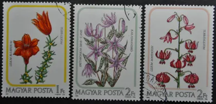 фото, Венгрия Флора Цветы 1985