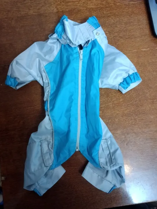 Купити Дощовик для собак для дрібних порід