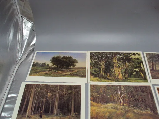 Набор открыток И.И. Шишкин государственная третьяковская галерея 1984 год в наборе 16 шт №18649 На торгах