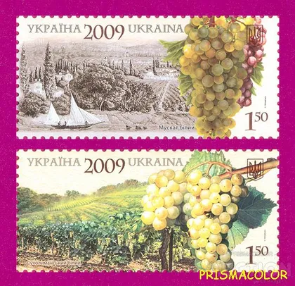 фото, ** УКРАИНА 2009 N1017-1018 марки Виноград Виноделие Флора СЕРИЯ