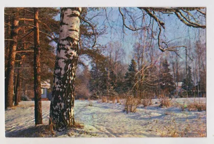 фото, З НОВИМ РОКОМ - С НОВЫМ ГОДОМ = 1971 р. = КАДЫШЕВ = чиста ==