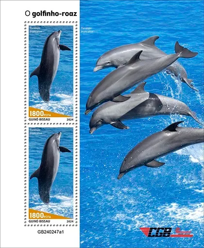 фото, Гвинея Бисау-Дельфин Афалина-2024. Чистый полный комплект.MNH.