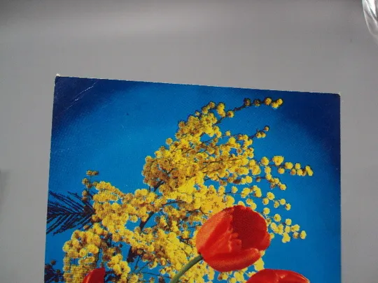 Купити Открытка 8 марта цветы тюльпаны и мимозы авторы В. Лисецкий и К. Шамшин 1973 год №17881