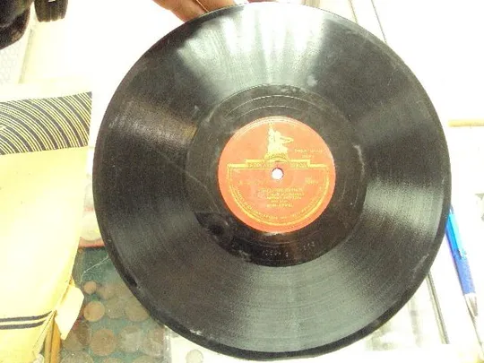 пластинка криш девушки дуная Продаж