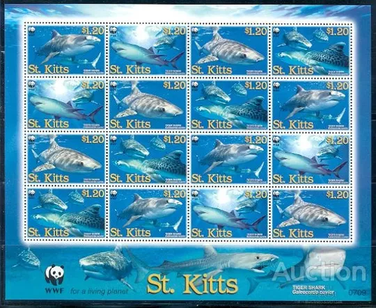 St.Kitts-Акулы - WWF-2007 Чистый полный красивый комплект. MNH. Ціна