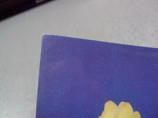 открытка кактус 1985 №1719 Інтернет-аукціон