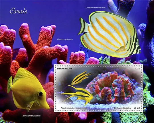 Купити Сьерра Леоне-Рыбы и Кораллы-2022.Чистый полный красивый комплект.MNH.