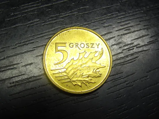 Купити 5 грошей 2021 Польща