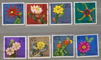 фото, ЦВЕТЫ - КАКТУСЫ - ФЛОРА = 1981 г. = ПОЛЬША = гаш. #