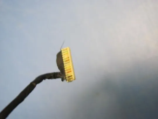 №115-29 шлейф WEB-камери 50.47L11.002 для DELL INSPIRON 15 7000 оригінал Де купити