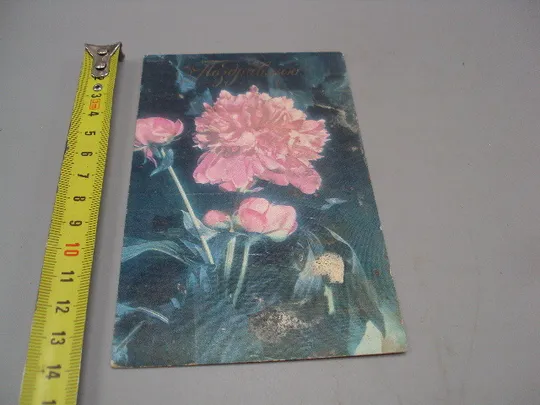 Открытка Поздравляю! цветы пионы фото Л. Данилкина редоктор Печерский 1975 год №17994 Ціна