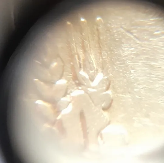 (2510) 50 копійок 1992 2.1ААм викрошка в 4 колосі на аверсі (50 копеек 1992 2.1ААм брак) Продаж