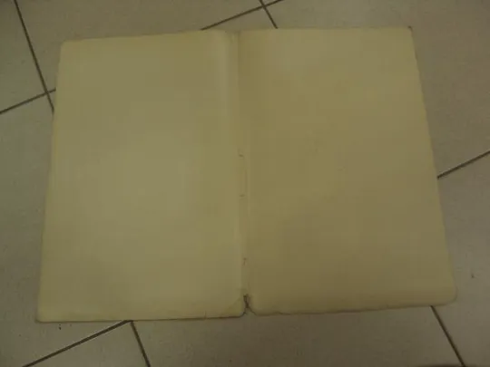 Купити печатное дело пароход контроль по приходу на 190_ год одесса №8337