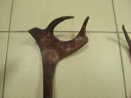 рога северного оленя ссср  №11025 Продаж