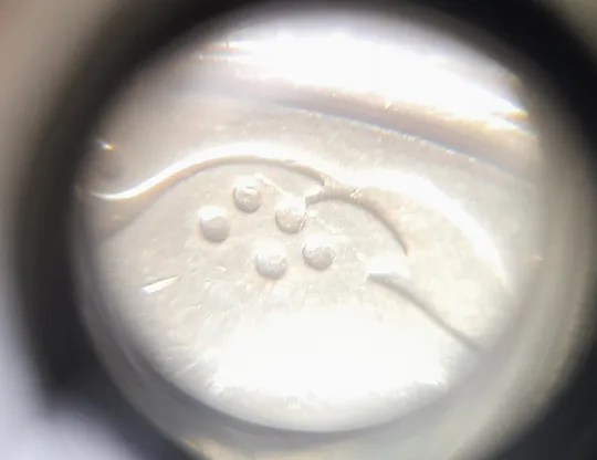 (2451) 50 копійок 1992 2.1ААм розколи у 1 та 6 гронах на реверсі - 17 монет одним лотом (50 копеек 1992 2.1ААм брак) Де купити