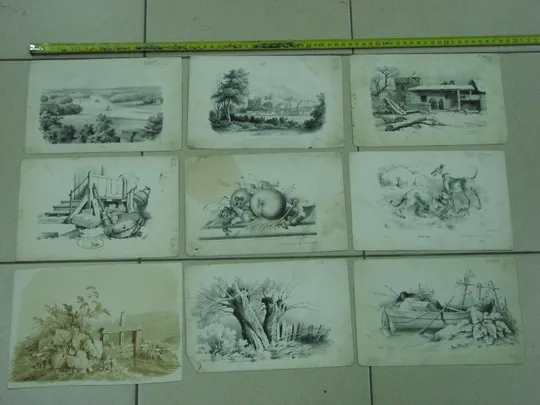 литографии германия lith druck u verlag v wilh hermes in berlin лот 9 шт №8046 Ціна