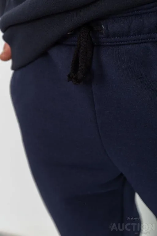 Спорт штаны мужские на флисе, цвет темно-синий, 241R001 Інтернет-аукціон