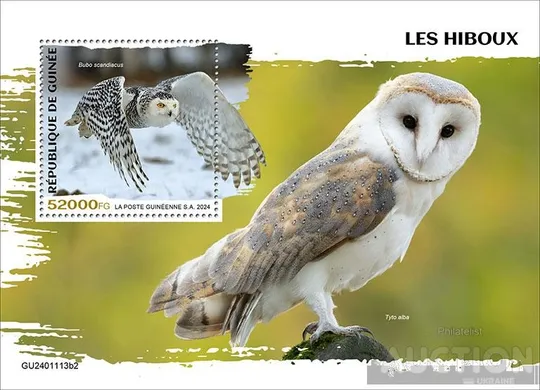 Гвинея -Птицы - Совы -2024. Чистый полный красивый комплект. MNH. Ціна