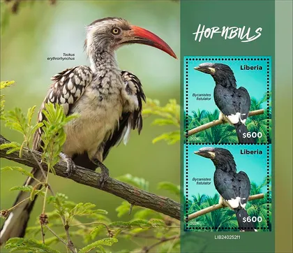 фото, Либерия-Птицы Носороги -2024. Чистый полный красивый комплект. MNH.