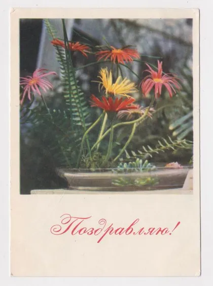 фото, ПОЗДРАВЛЯЮ = 1964 г. = ШТЕРЕНБЕРГ = чистая #