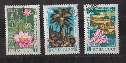 фото, СУХУМСКИЙ БОТАНИЧЕСКИЙ САД = СРСР - СССР = 1966 р. = гаш. ==