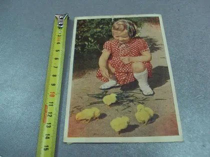 фото, открытка маленькая хозяйка игнатович 1960 №12392