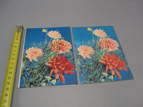 Открытка телеграмма цветы фото В. Баранникова 1979 год лот 2 шт №16153 Ціна