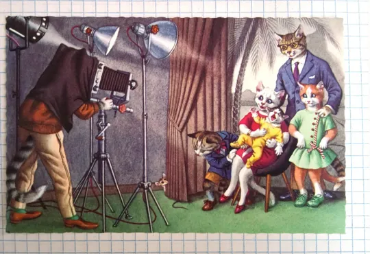 Поштова картка Одягнуті Котики Альфреда Майнзера 1970-ті aM06 Ціна