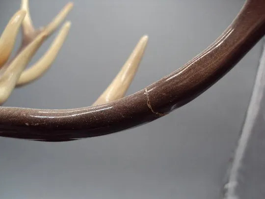 Фигура фарфор статуэтка Германия Hertwig with co олень высота 43 см под реставрацию №63 Інтернет-аукціон