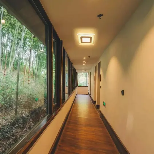 Купити Светильник потолочный LED 2234/250-k Белый 4х25х25 см.