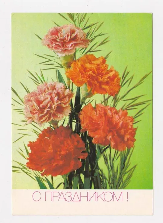 ПРОВІЗОРІЇ - 35 коп. на листівці С ПРАЗДНИКОМ = ДМПК 1991 р. = ДЕРГИЛЕВ = чиста == Ціна