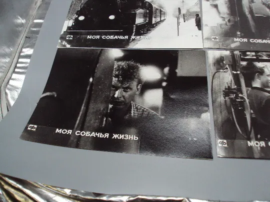 Кадр из фильма Моя собачья жизнь 1, 2, 3, 4, 5, 6 - 92 фотография 23,7х18,3 см лот 6 шт №18352МЯ Торговий майданчик
