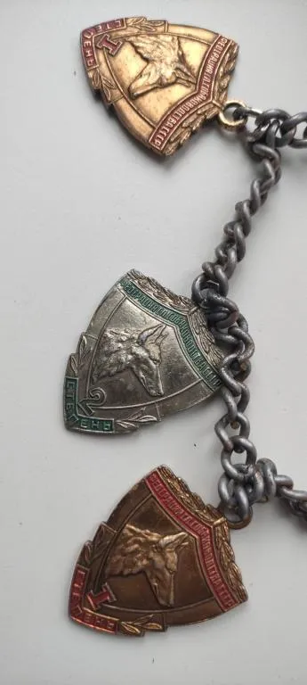 Купити Медали на собаку на толстой цепи, 1970-е годы СССР , федерация служебного собаководства kd264